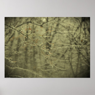 Winter Freeze, Poster