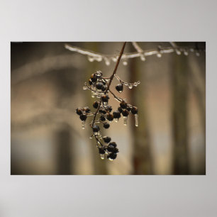 Winter Freeze, Poster
