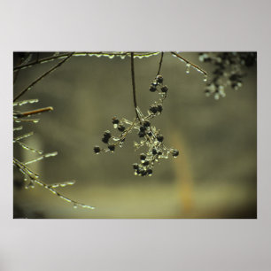 Winter Freeze, Poster