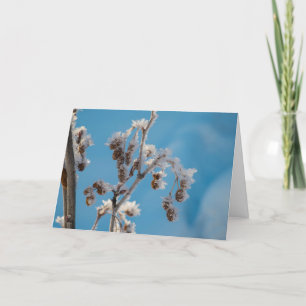 Winter frost holiday card