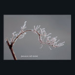 Winter Frosted branch Poster<br><div class="desc">Winter frosted branch</div>