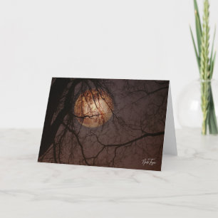 Winter Full Moon notecard