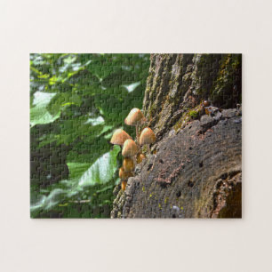 Winter Fungi Canada. Jigsaw Puzzle