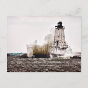 Winter  Fury Postcard