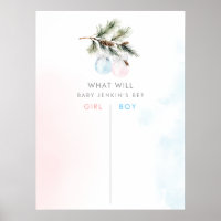 Winter Gender Reveal Voting Board