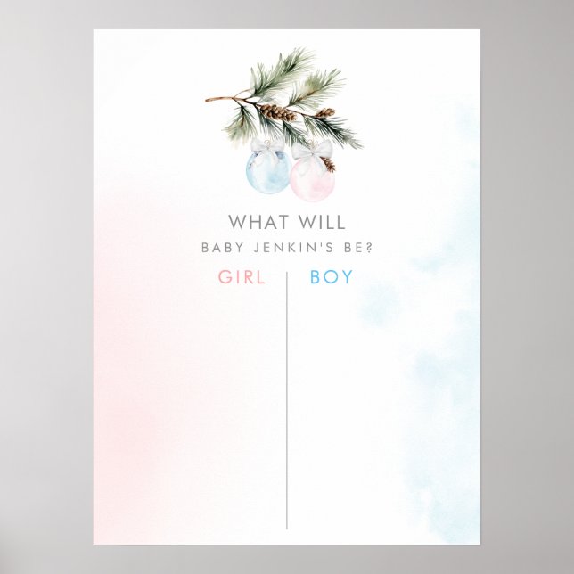 Winter Gender Reveal Voting Board Poster (Front)