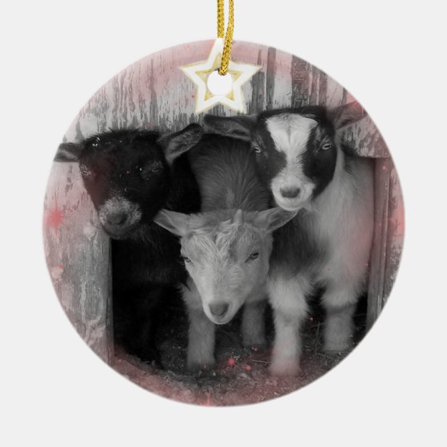 WINTER GOAT BABIES CHRISTMAS ORNAMENT (Front)