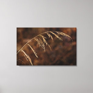 Winter Grass Canvas Print