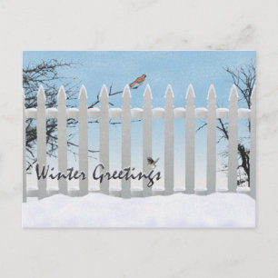 Winter greetings holiday postcard