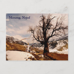 Winter grips Manang Postcard