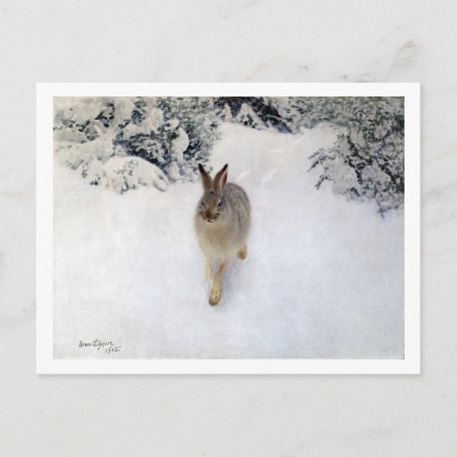Winter Hare (Rabbit), Bruno Liljefors Postcard (Front)