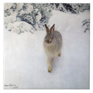 Winter Hare (Rabbit), Bruno Liljefors Tile