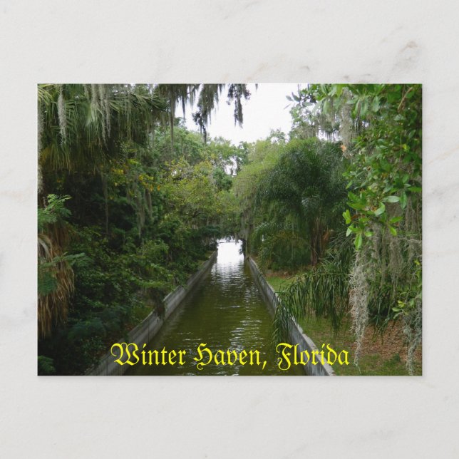 Winter Haven, Fl Postcard (Front)