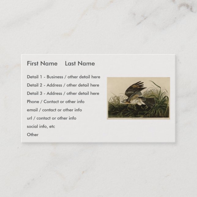 Winter Hawk, John James Audubon's Birds of America Business Card (Front)