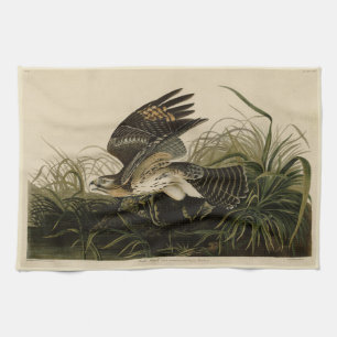 Winter Hawk, John James Audubon's Birds of America Tea Towel
