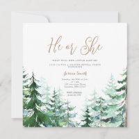 Winter He or She Gender Reveal Forest