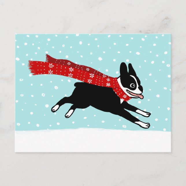 Winter Holiday Boston Terrier Wearing Red Scarf (Front)