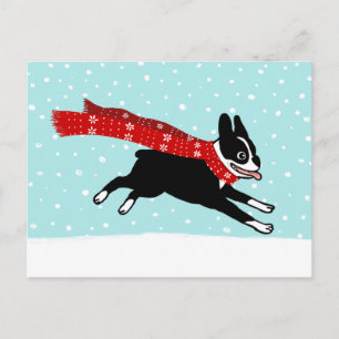 Winter Holiday Boston Terrier Wearing Red Scarf Postcard