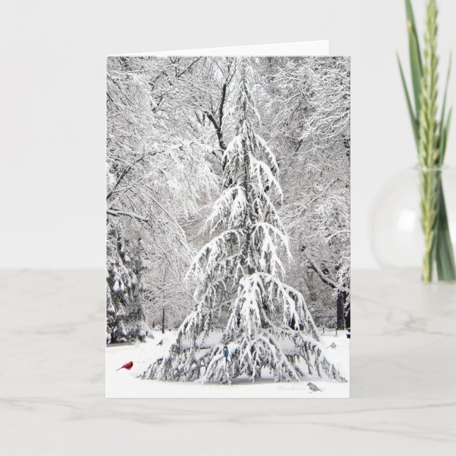 Winter-holiday card: Boston Public Garden-park Holiday Card (Front)