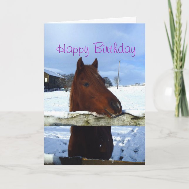 Winter horse Birthday card (Front)