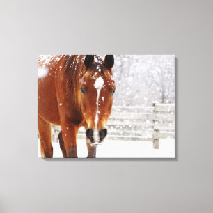 Winter Horse Christmas Canvas Print