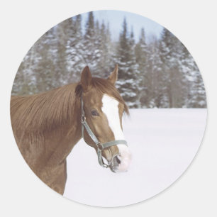 Winter Horse Classic Round Sticker