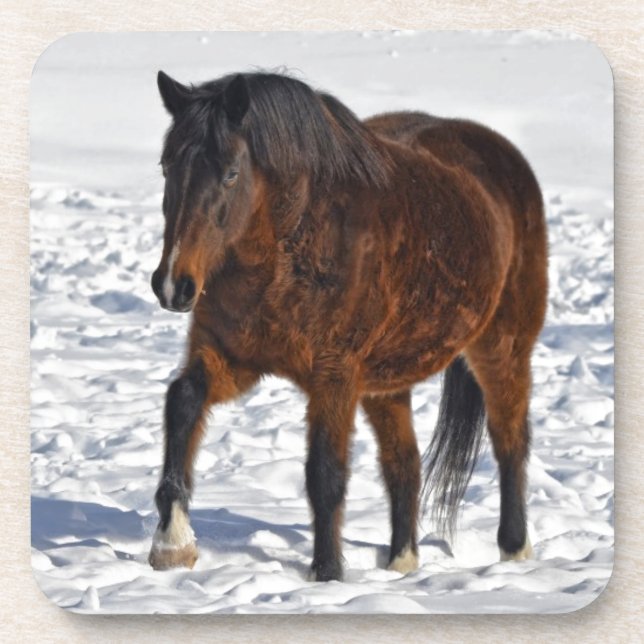 Winter Horse in Snowy Field Coaster (Front)