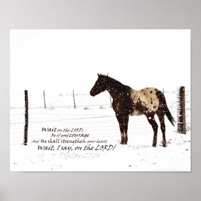 Winter Horse & Scripture 11x14 Matte Poster (Front)