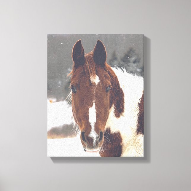 Winter Horse Wrapped Canvas (Front)