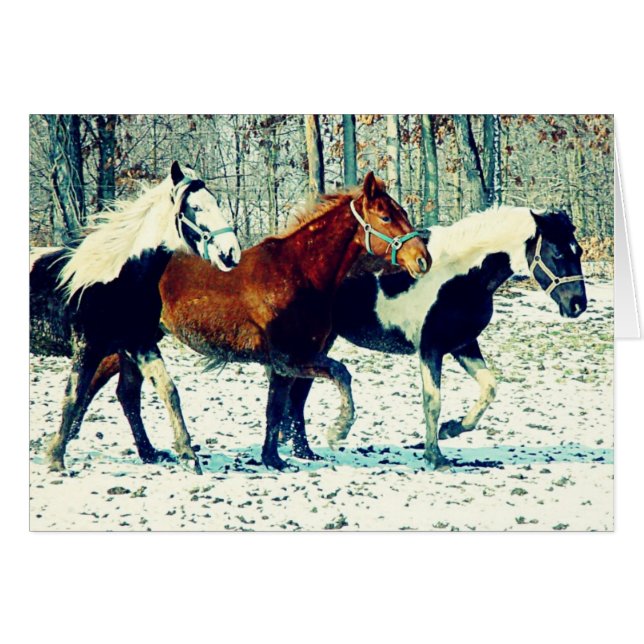 Winter Horses (Front Horizontal)
