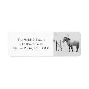 Winter Horses Fence Personalizable Christmas Label