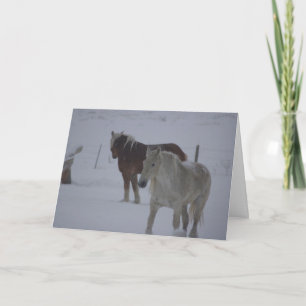 Winter Horses Holiday Card