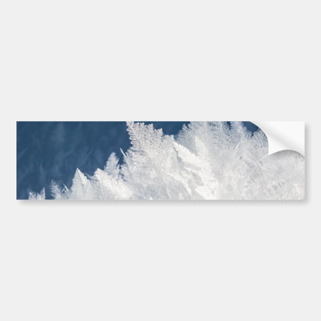 Winter Ice Crystals Bumper Sticker (Front)
