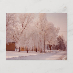 Winter Ice Postcard