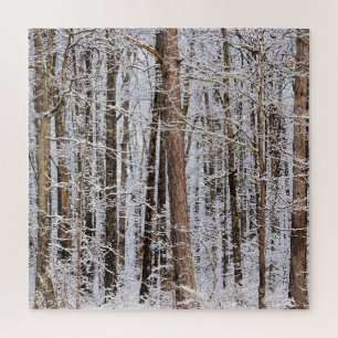 Winter Ice Storm in the Forest - 20x20 inch Jigsaw Puzzle