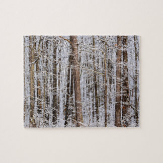 Winter Ice Storm in the Forest - 8x10 inch Jigsaw Puzzle
