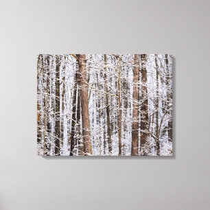 Winter Ice Storm in the Forest Canvas Print