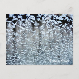 Winter Icicles Postcard