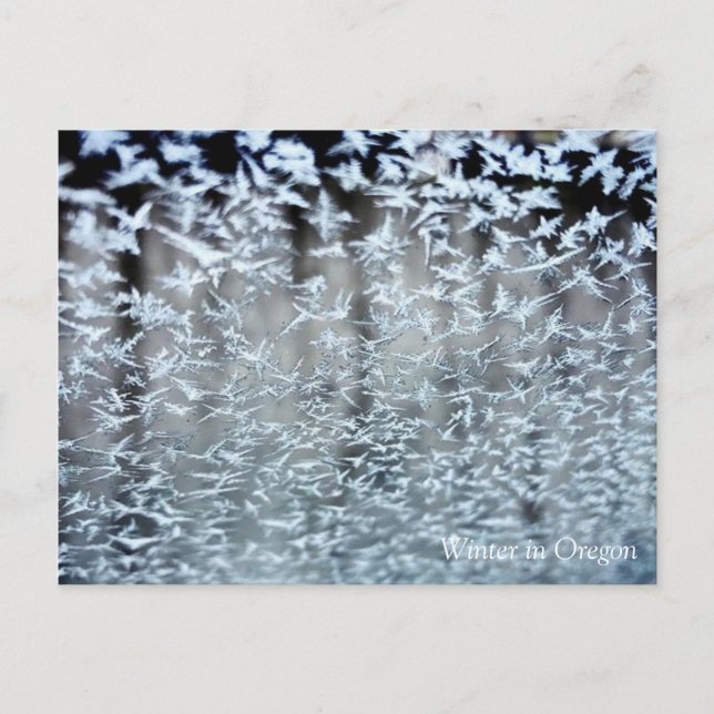 Winter Icicles Postcard (Front)