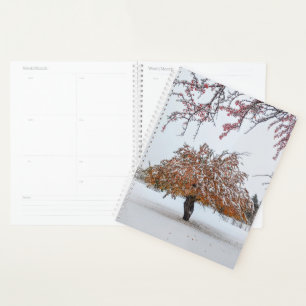 Winter in Autumn Planner