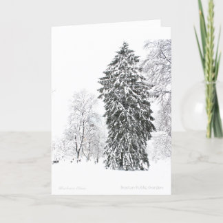 Winter in Boston Public Garden Holiday Card
