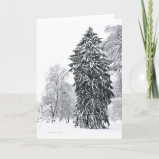Winter in Boston Public Garden Park Holiday Card