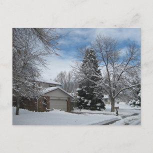 Winter in Colorado Postcard
