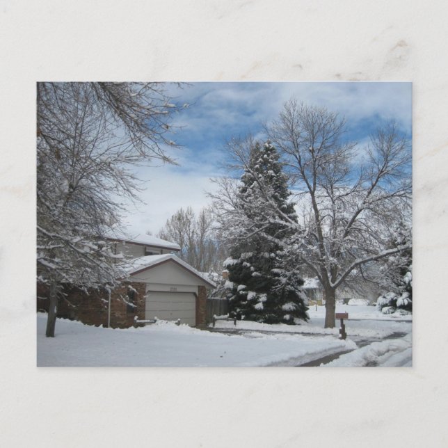 Winter in Colorado Postcard (Front)