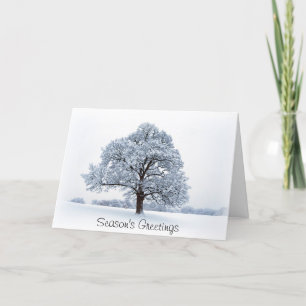 Winter in Heaton Park Holiday Card