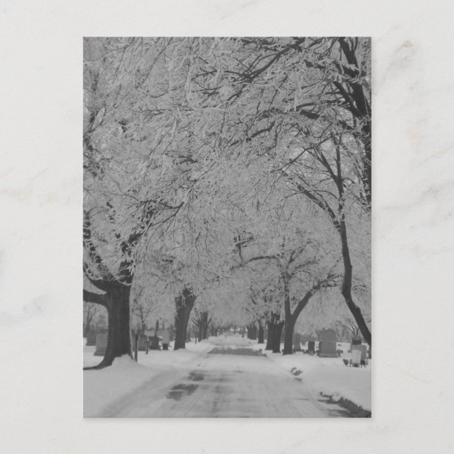 Winter In Nebraska Postcard (Front)