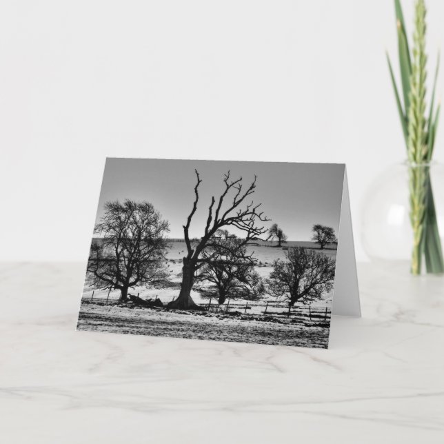 Winter in Northumberland Greeting Card (Front)