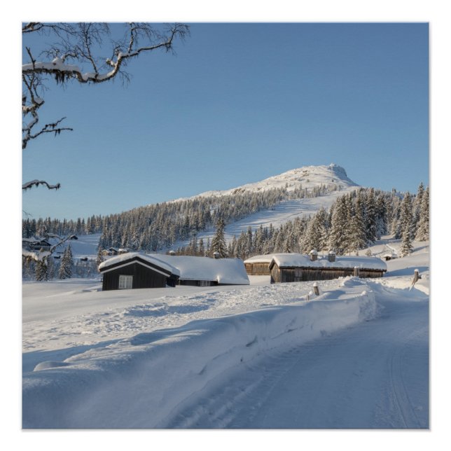 Winter in Norway Poster (Front)