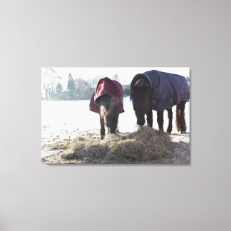 Winter in Rural Hertfordshire, England Canvas Print