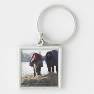 Winter in Rural Hertfordshire, England Key Ring